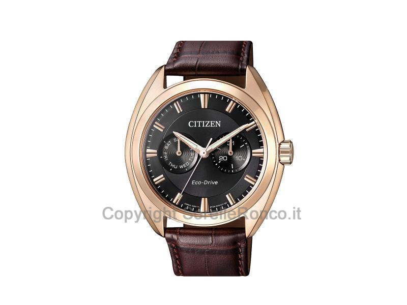 CITIZEN OF COLLECTION STYLE PLACCATO ORO